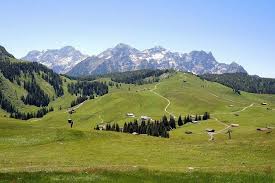 Steinberge